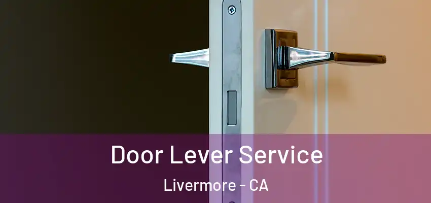  Door Lever Service Livermore - CA