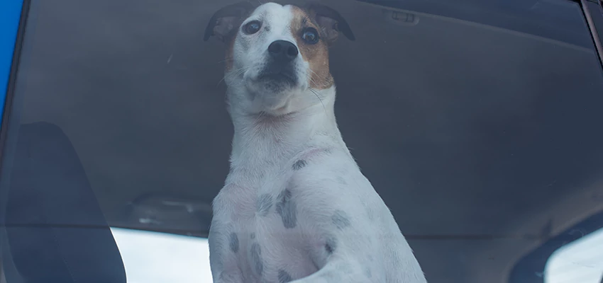 Car Lockout Solutions in Livermore, California