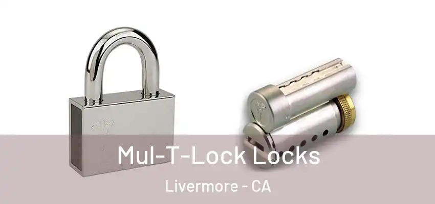  Mul-T-Lock Locks Livermore - CA